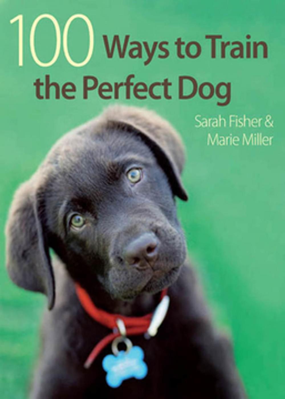 Big bigCover of 100 Ways to Train the Perfect Dog
