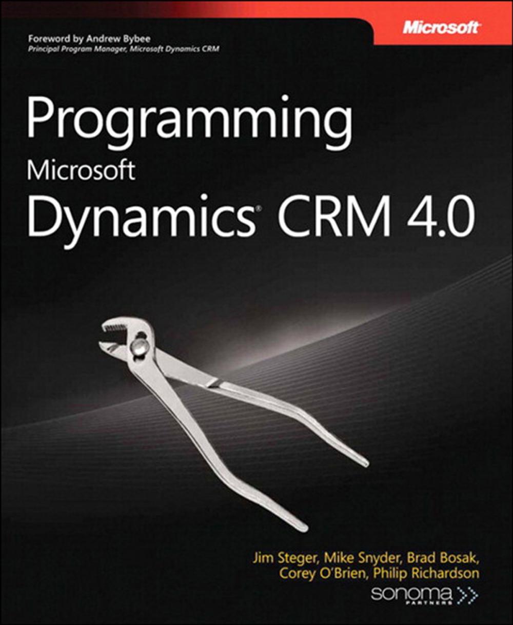 Big bigCover of Programming Microsoft Dynamics CRM 4.0