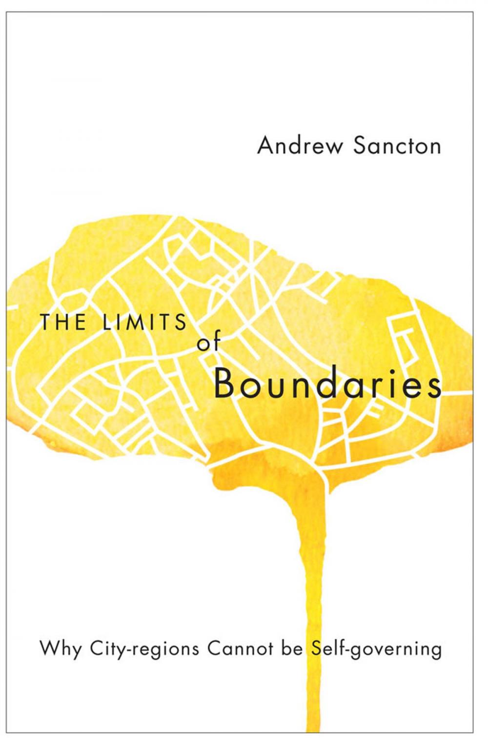 Big bigCover of The Limits of Boundaries