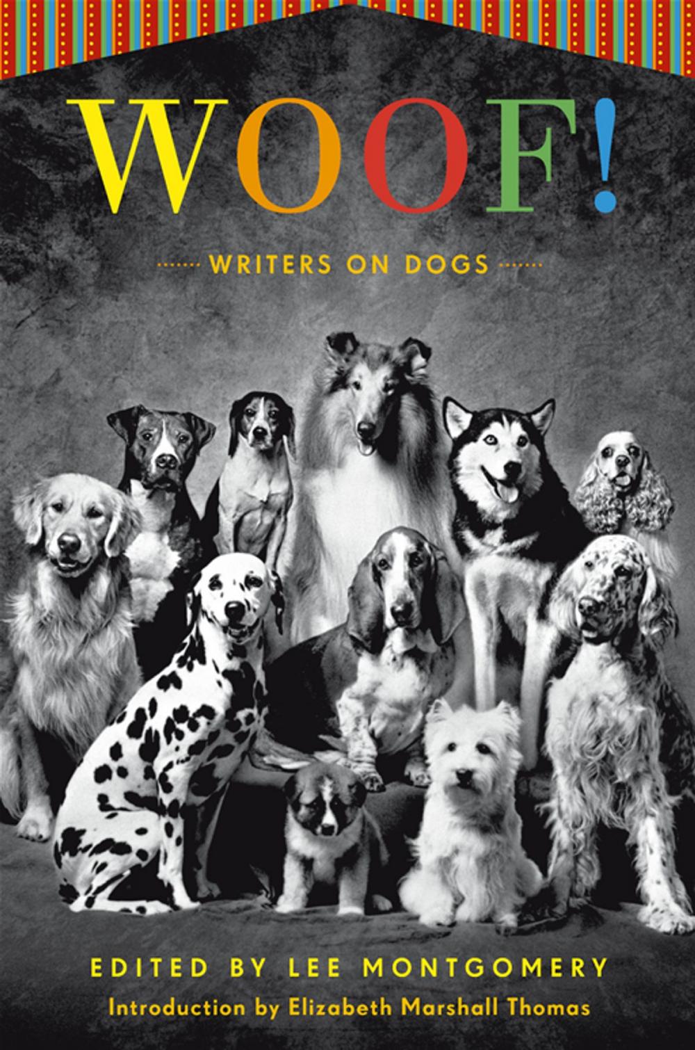 Big bigCover of Woof!