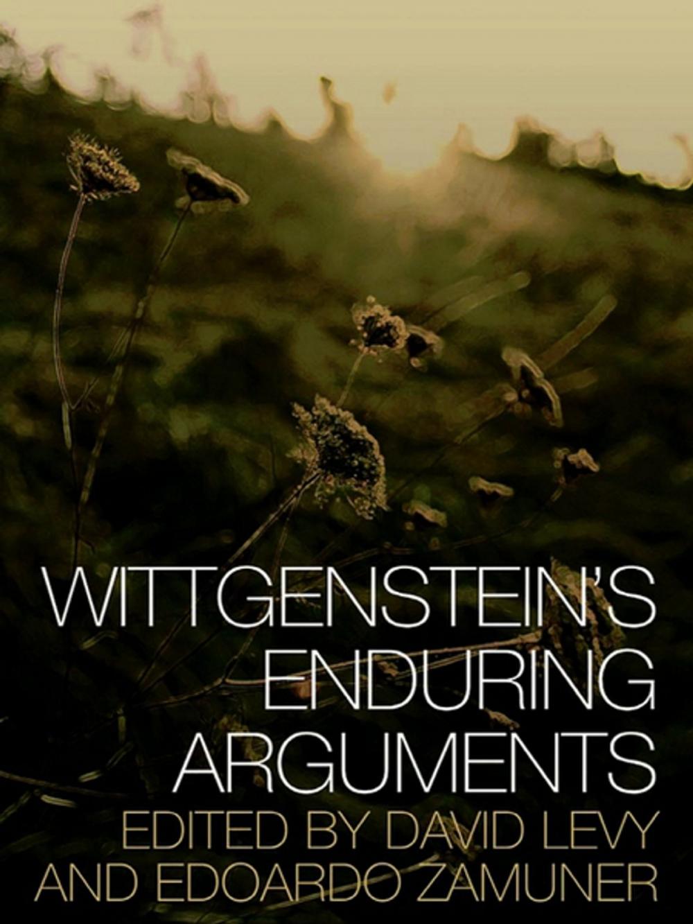 Big bigCover of Wittgenstein's Enduring Arguments