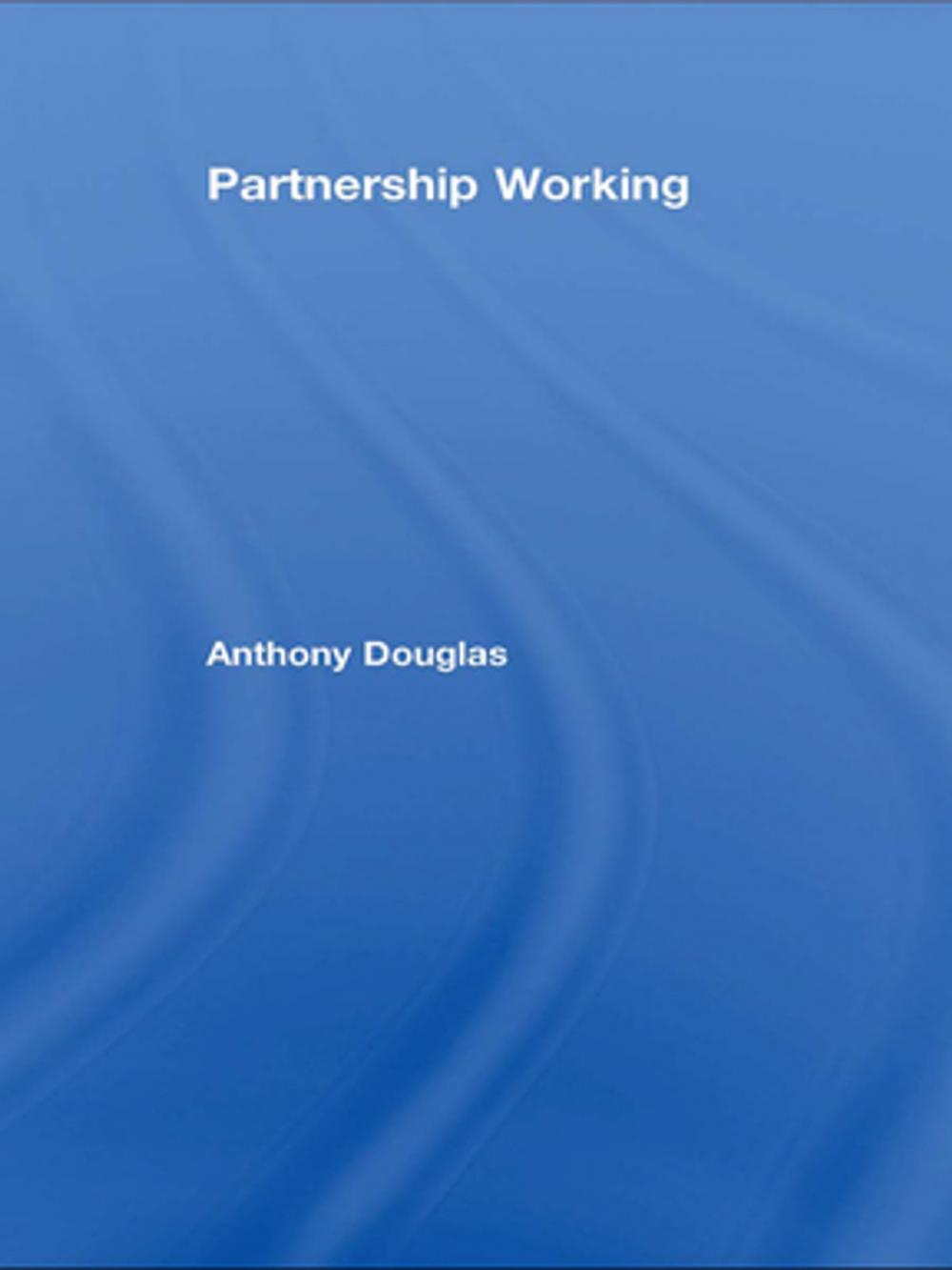 Big bigCover of Partnership Working