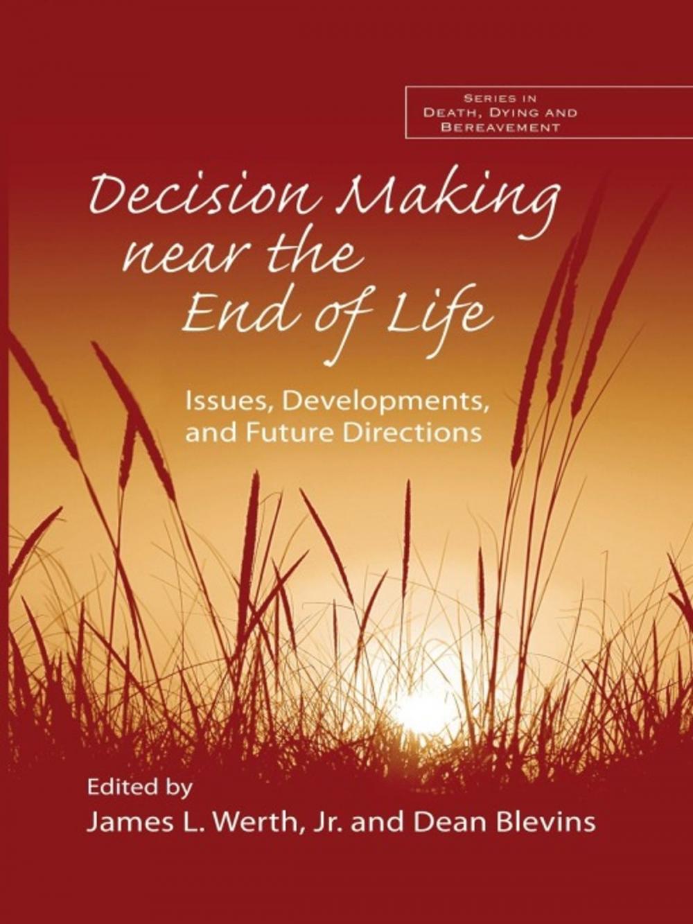 Big bigCover of Decision Making near the End of Life