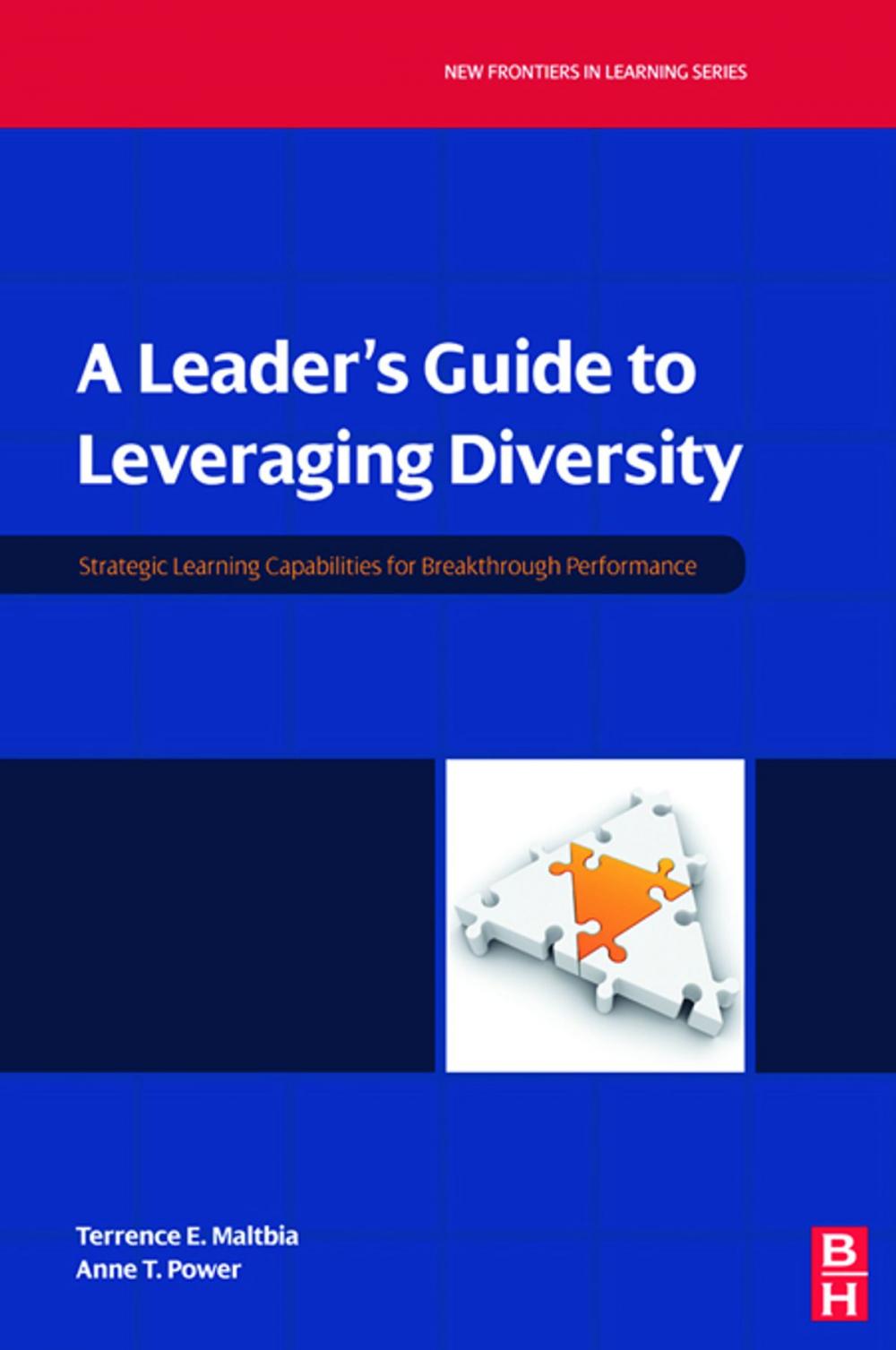 Big bigCover of A Leader's Guide to Leveraging Diversity