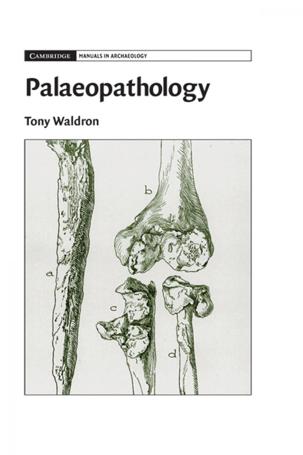 Big bigCover of Palaeopathology