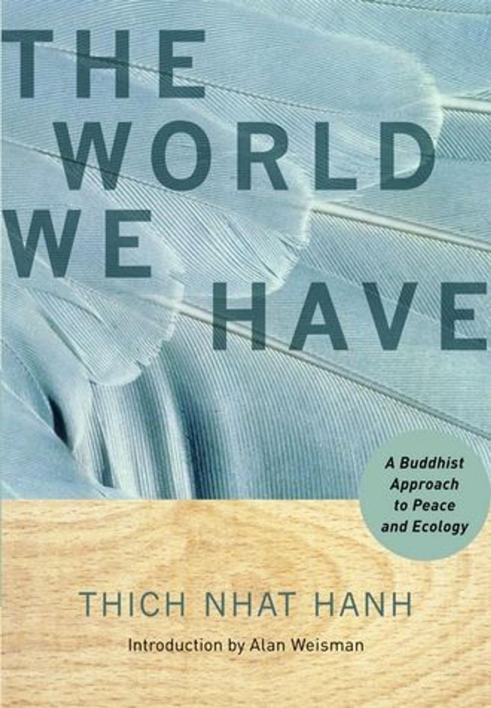 Big bigCover of The World We Have: A Buddhist Approach To Peace And Ecology