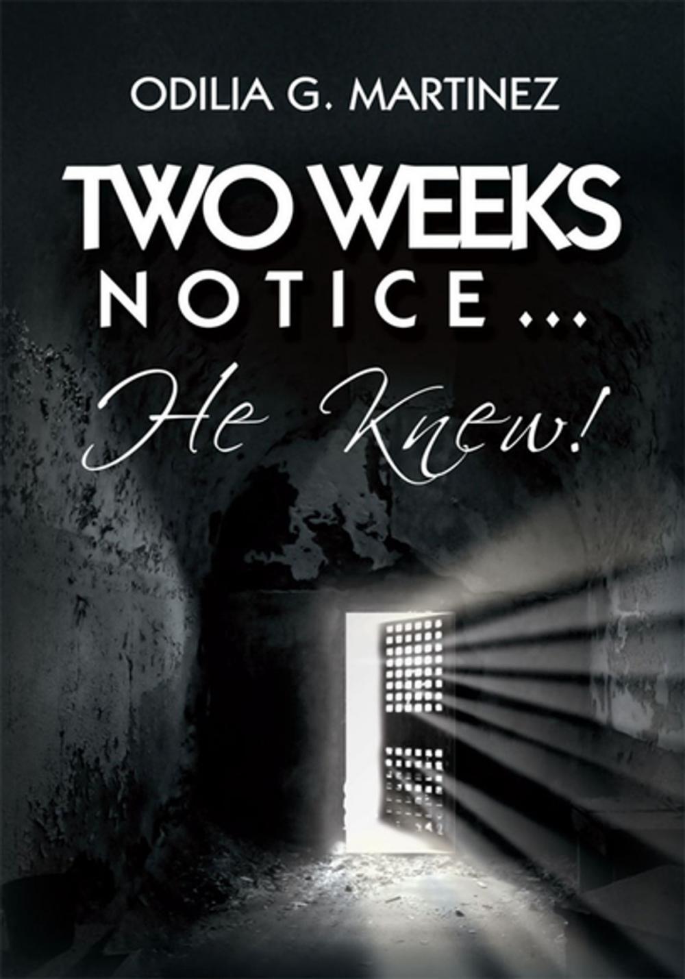 Big bigCover of Two Weeks Notice…