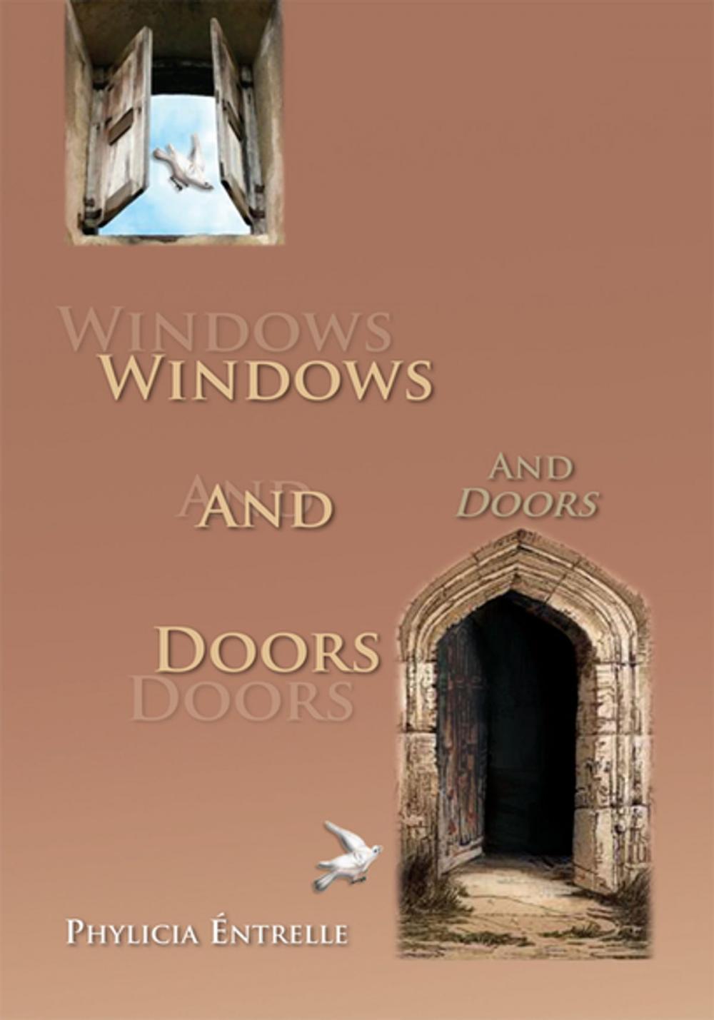 Big bigCover of Windows and Doors