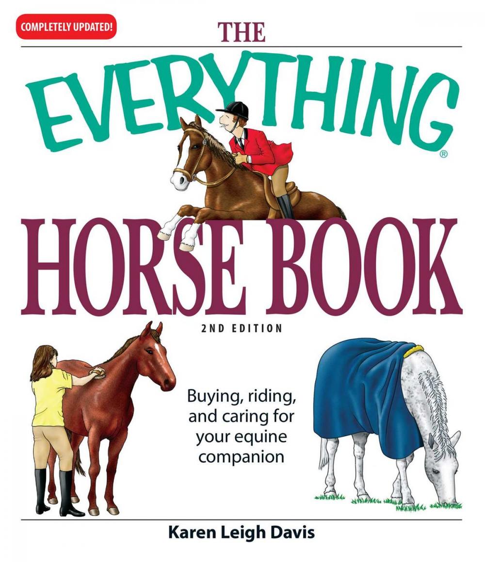 Big bigCover of The Everything Horse Book