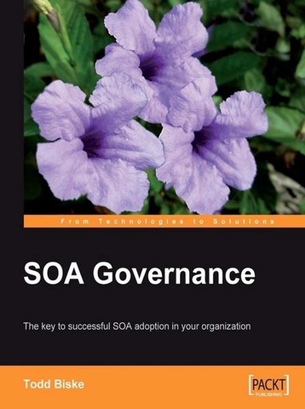 Big bigCover of SOA Governance