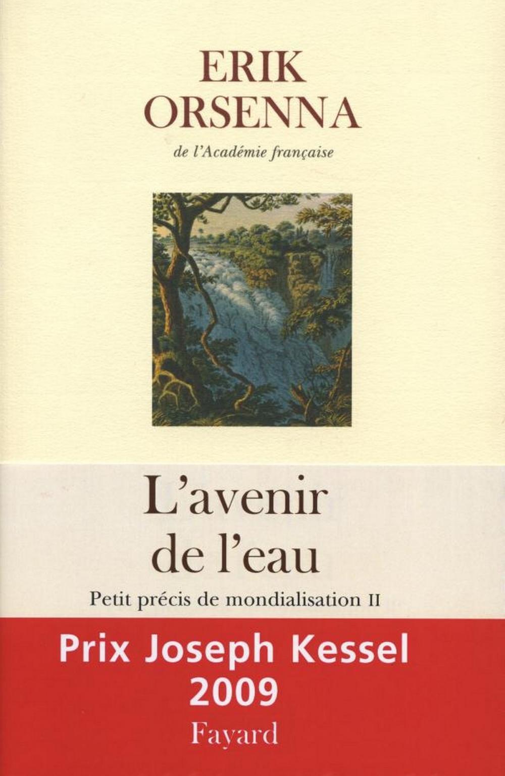 Big bigCover of L'Avenir de l'eau. Petit précis de mondialisation n°2