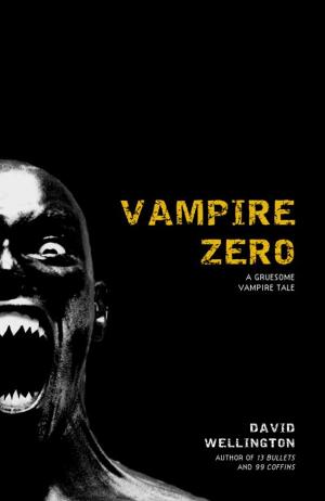 Cover of the book Vampire Zero by Billy Wells