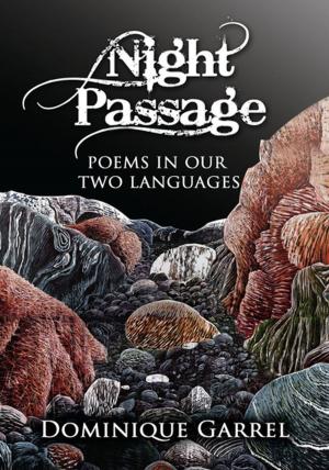 Cover of the book Night Passage by Charlotte Cassidy