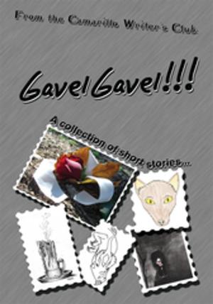 Book cover of Gavelgavel!!!
