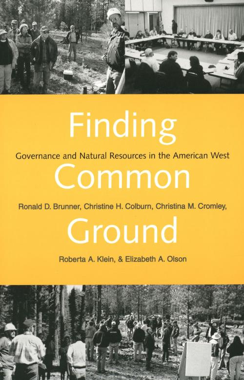 Cover of the book Finding Common Ground by Ronald D. Brunner, Christine H. Colburn, Ms. Christina M. Cromley, Roberta A. Klein, Yale University Press