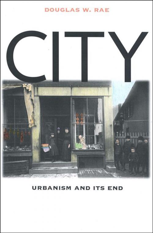 Cover of the book City by Professor Douglas W. Rae, Yale University Press