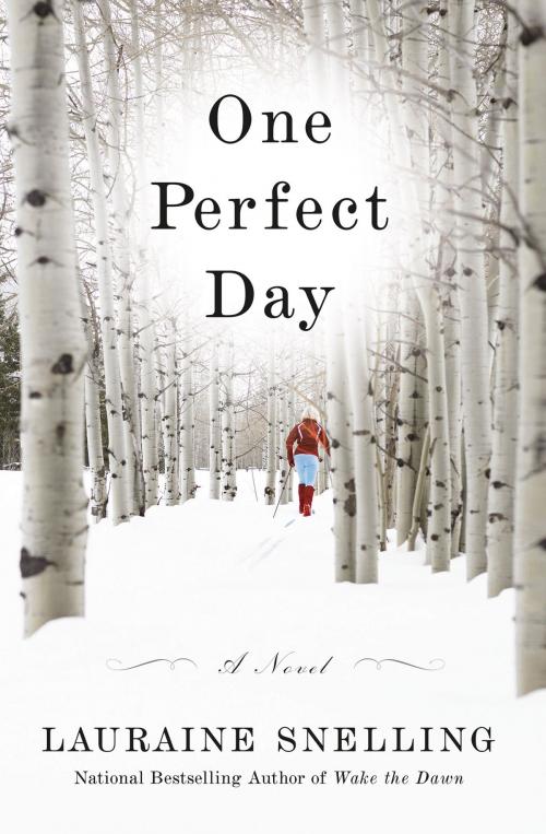 Cover of the book One Perfect Day by Lauraine Snelling, FaithWords