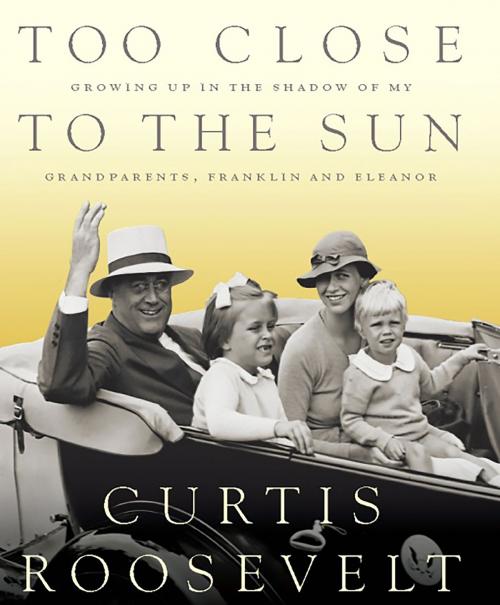 Cover of the book Too Close to the Sun by Curtis Roosevelt, PublicAffairs