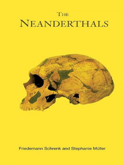 Cover of the book The Neanderthals by Stephanie Muller, Friedemann Shrenk, Taylor and Francis