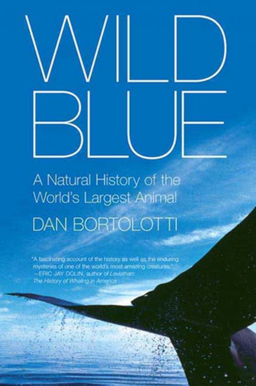 Cover of the book Wild Blue by Dan Bortolotti, St. Martin's Press