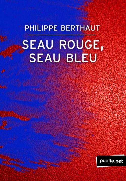 Cover of the book Seau rouge, seau bleu by Philippe Berthaut, publie.net