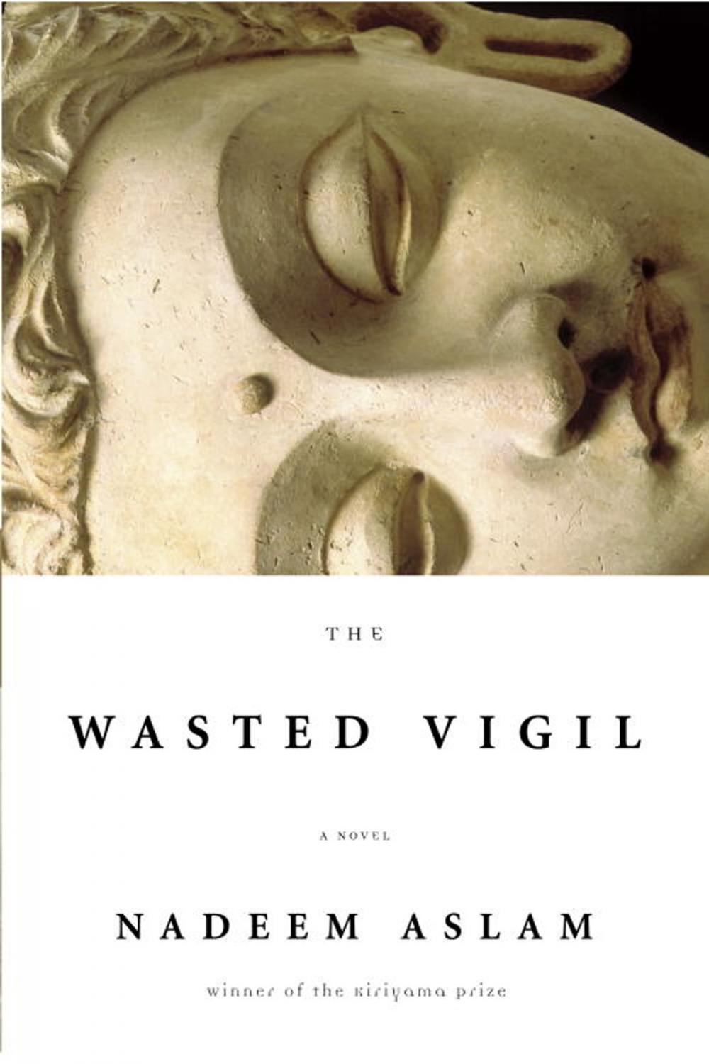 Big bigCover of The Wasted Vigil