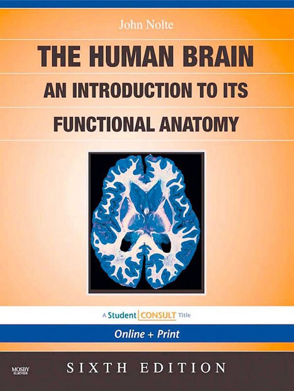 Big bigCover of The Human Brain E-Book