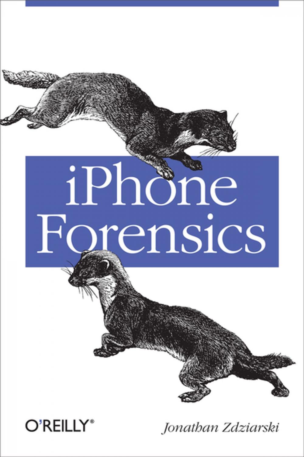 Big bigCover of iPhone Forensics