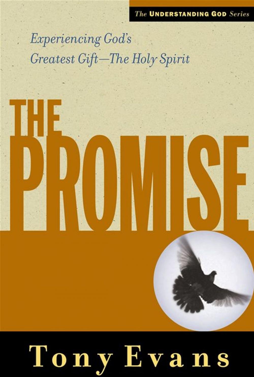 Big bigCover of The Promise