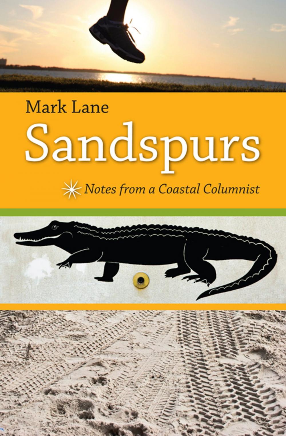 Big bigCover of Sandspurs