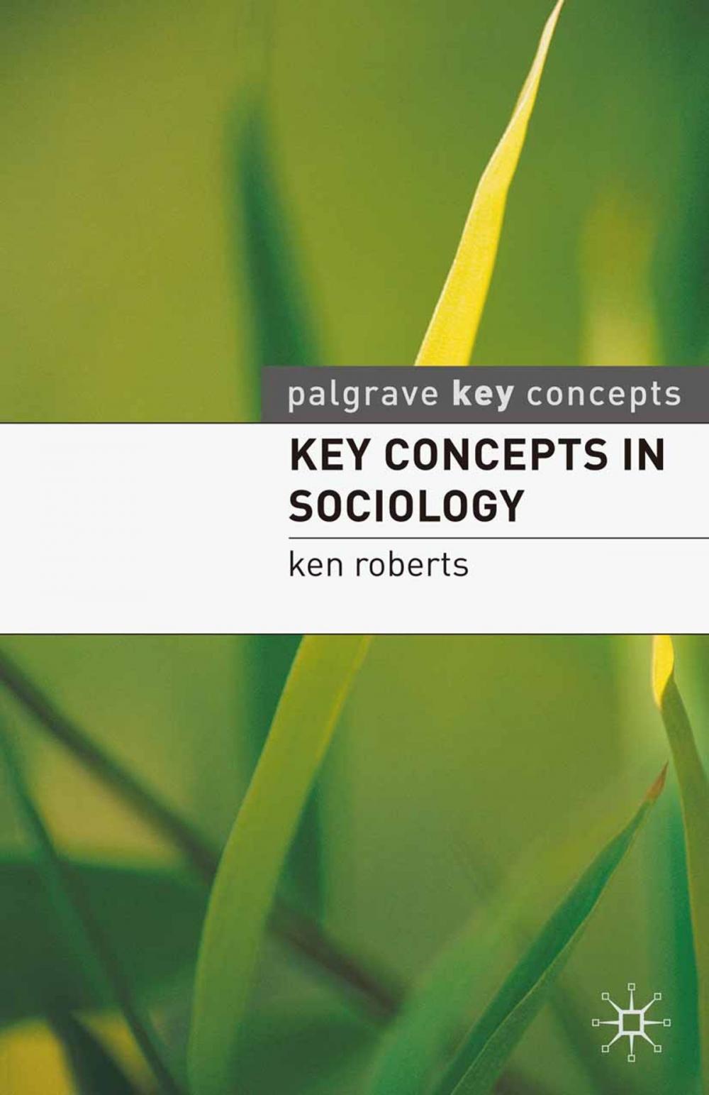 Big bigCover of Key Concepts in Sociology