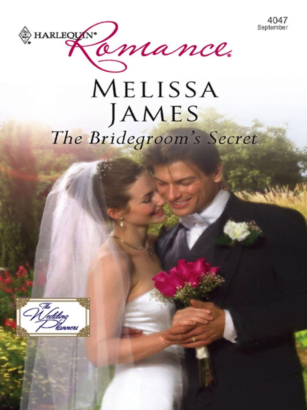 Big bigCover of The Bridegroom's Secret