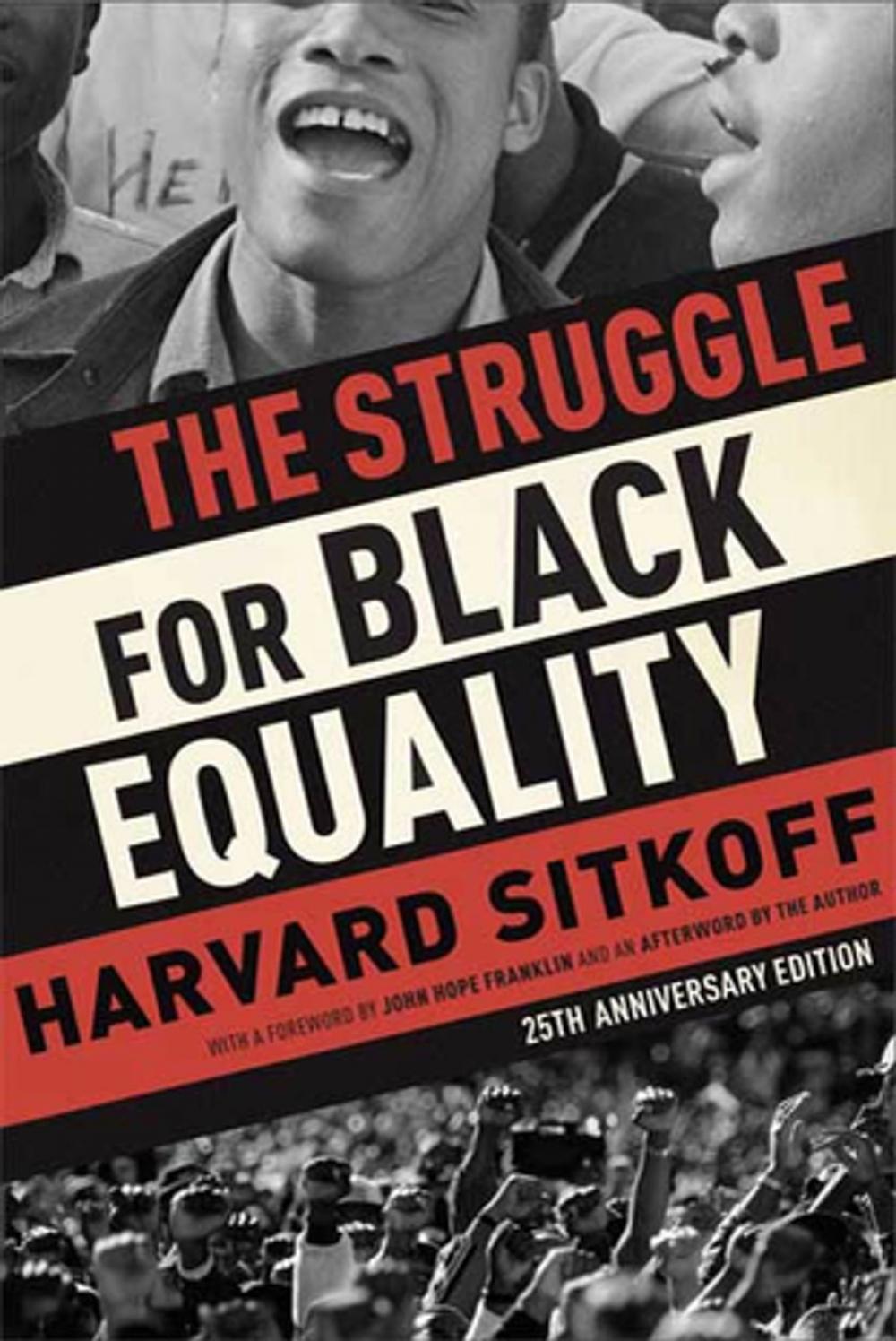 Big bigCover of The Struggle for Black Equality