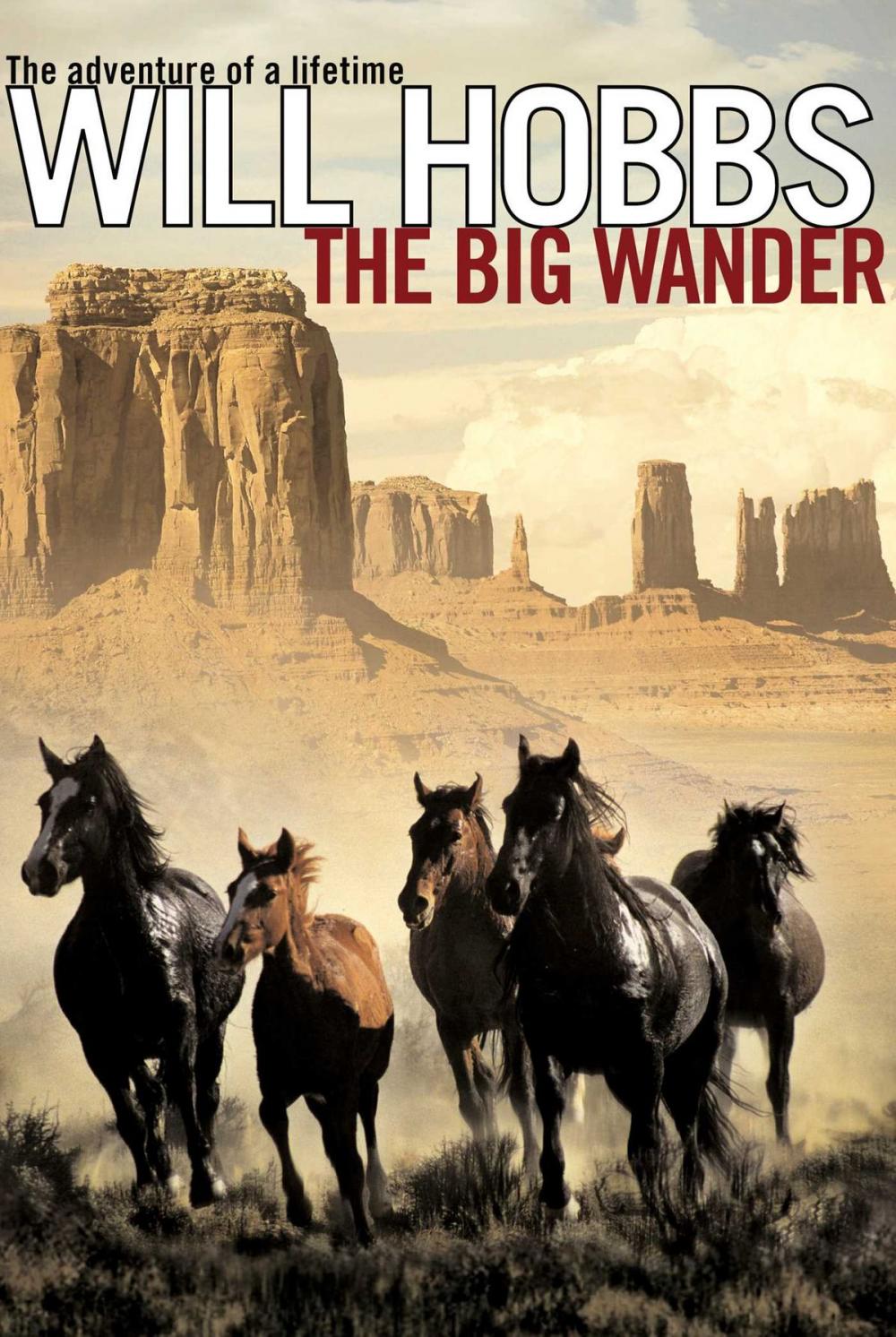 Big bigCover of The Big Wander