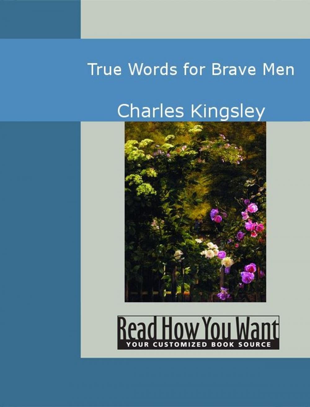 Big bigCover of True Words For Brave Men