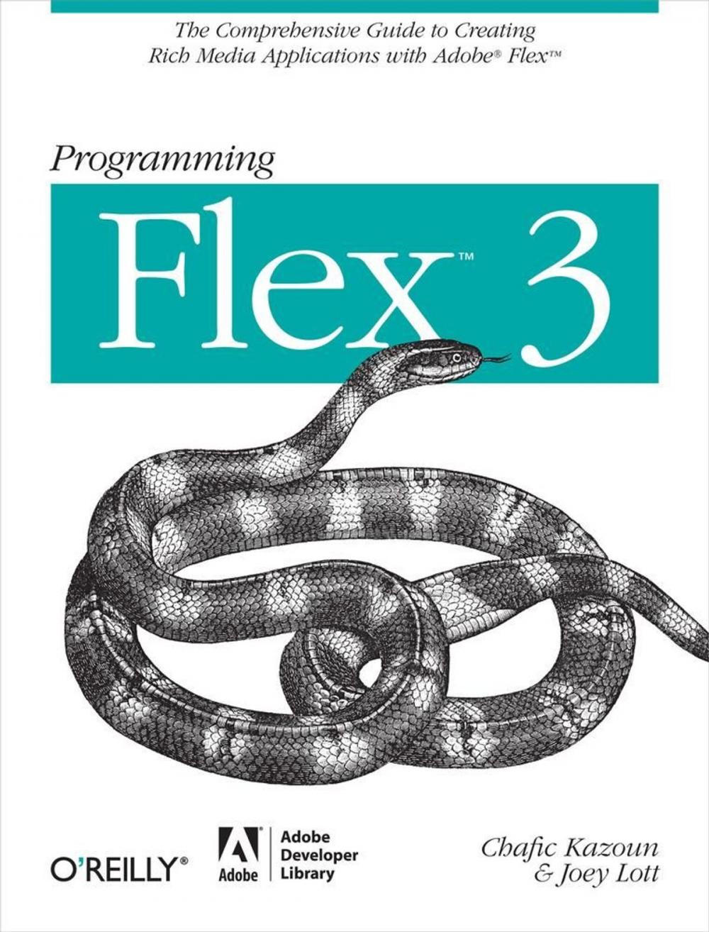 Big bigCover of Programming Flex 3