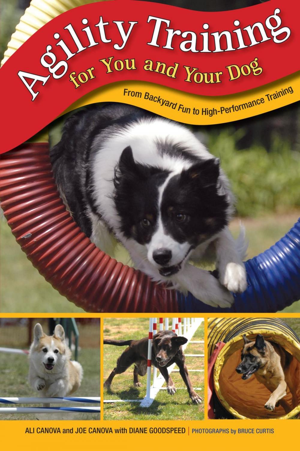 Big bigCover of Agility Training for You and Your Dog