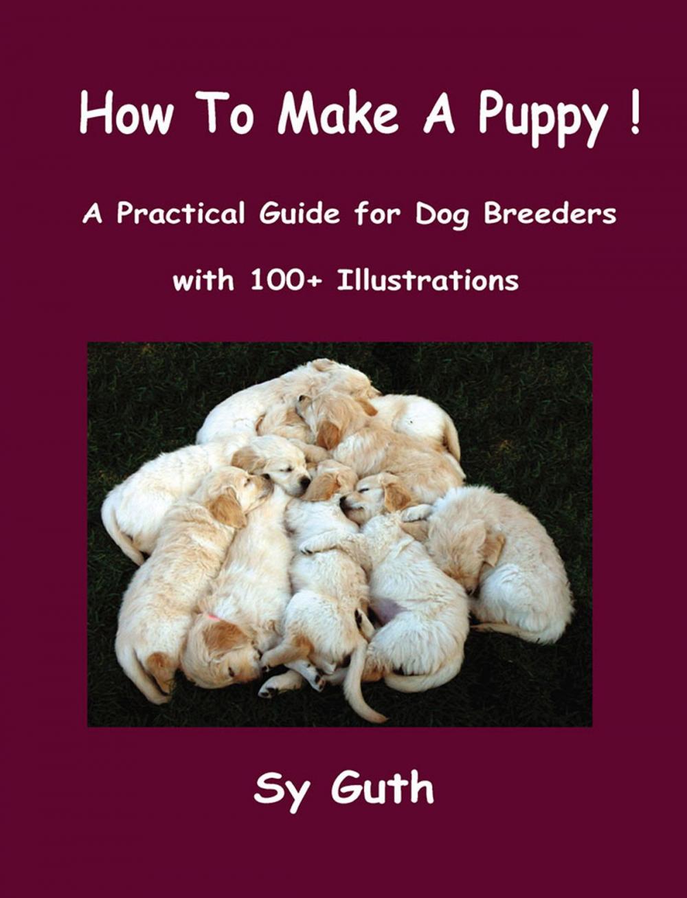 Big bigCover of How to Make a Puppy!