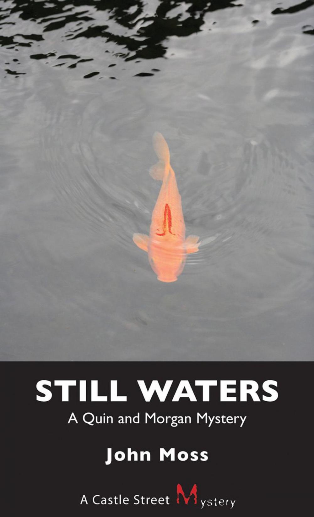 Big bigCover of Still Waters