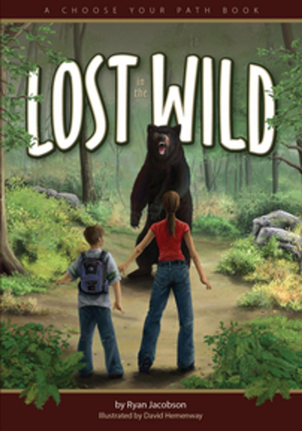 Big bigCover of Lost in the Wild