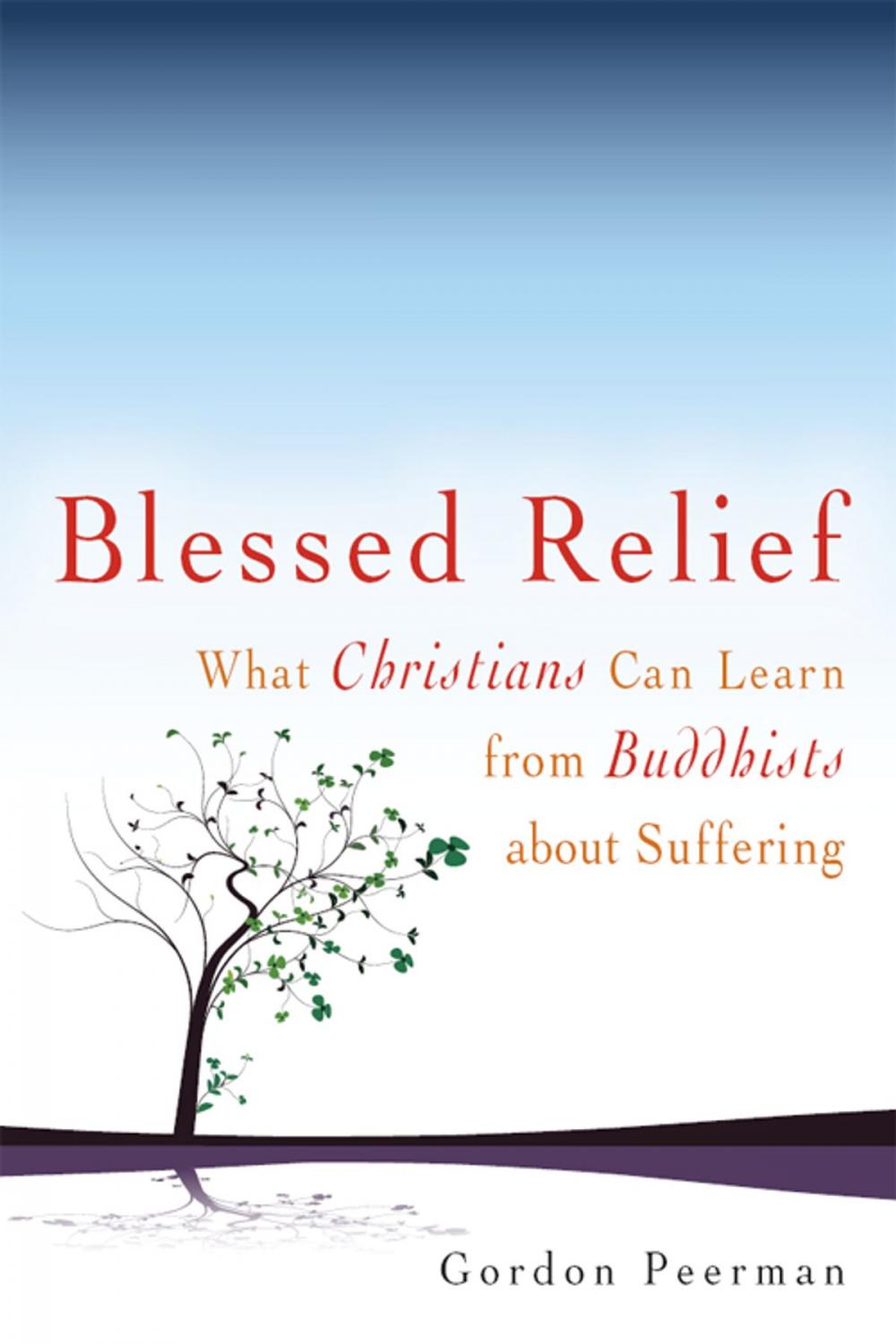 Big bigCover of Blessed Relief: What Christians Can Learn from Buddhists about Suffering