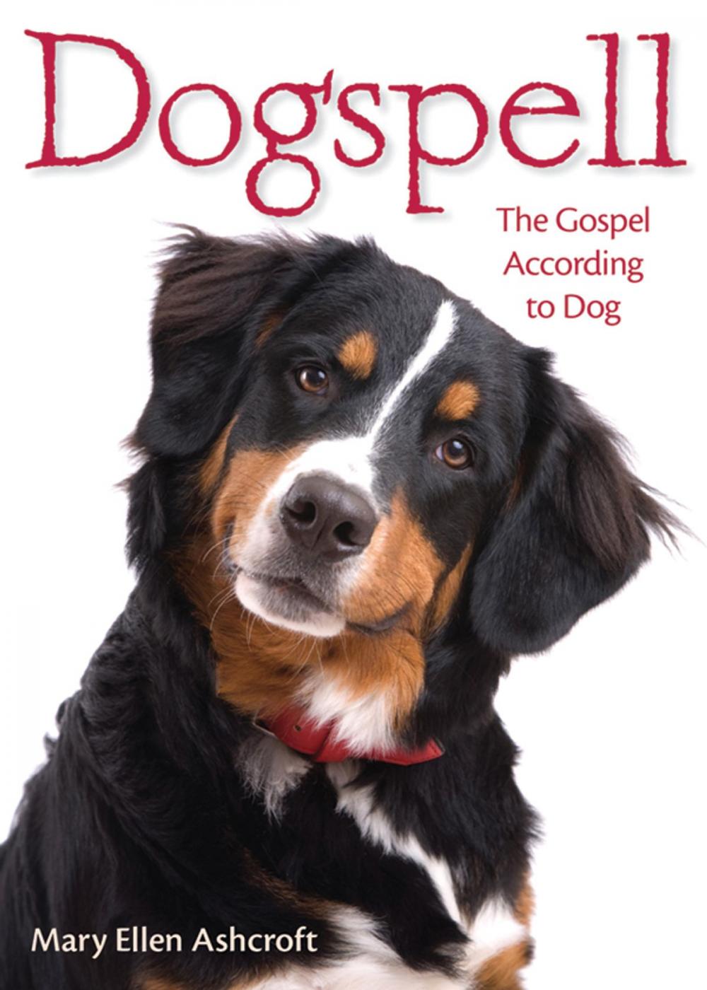 Big bigCover of Dogspell