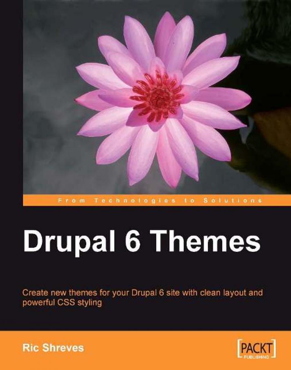 Big bigCover of Drupal 6 Themes