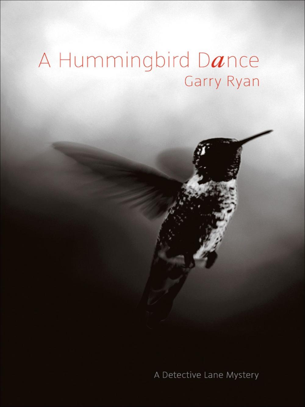 Big bigCover of A Hummingbird Dance