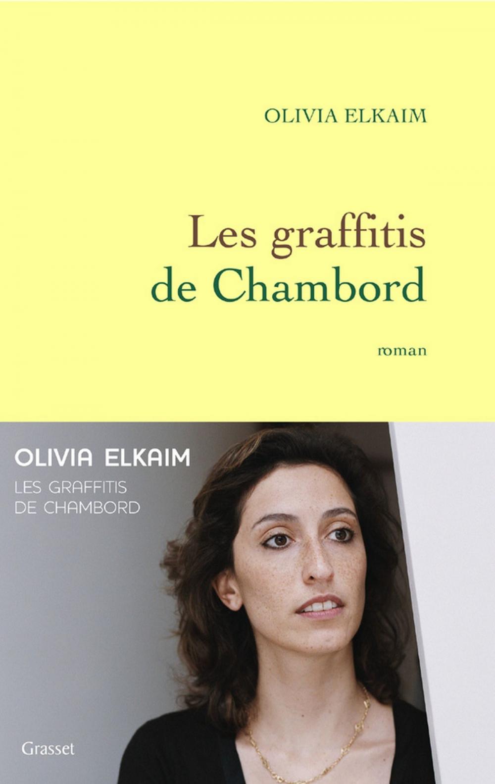 Big bigCover of Les graffitis de Chambord