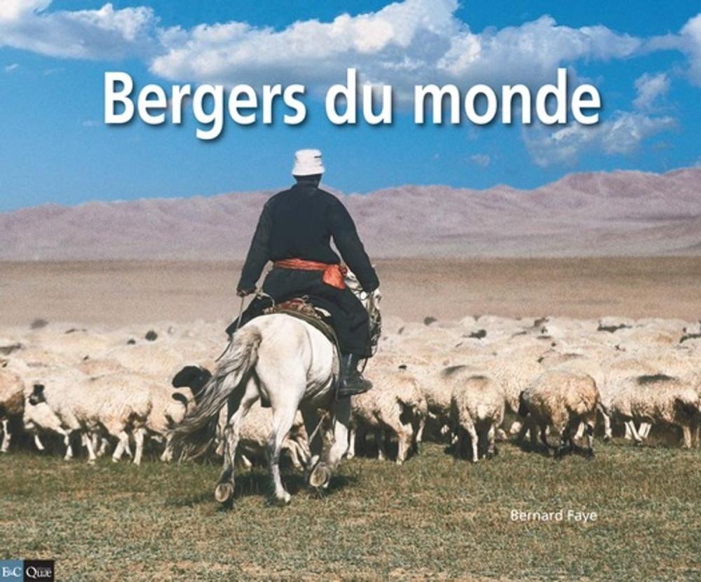 Big bigCover of Bergers du monde