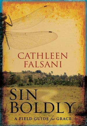 Cover of the book Sin Boldly by Jeff V. Cook