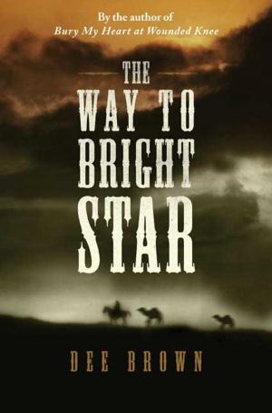 Cover of the book The Way To Bright Star by Gabi Stevens
