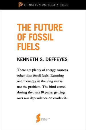Cover of the book The Future of Fossil Fuels by John O. McGinnis