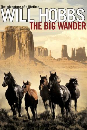 Cover of the book The Big Wander by Judi Barrett